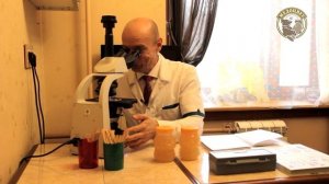 Пчеловод Уткин НН Пыльцевой анализ Мёда