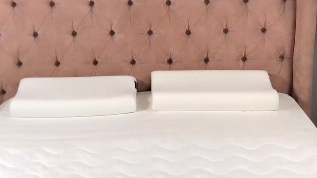 Anatomic Pillow Darwin LIFE 1.0 смотреть онлайн