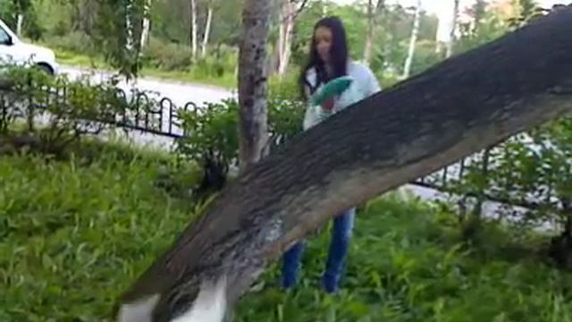 Хуго на дереве