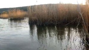 пеленгас на поплавок / Хаджибей