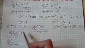 Способы получения алканов. Электролиз водных растворов солей карбоновых кислот.