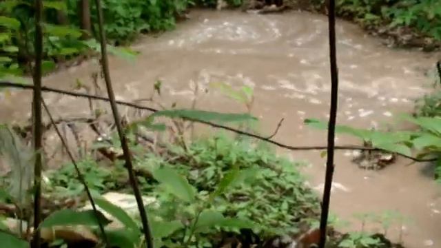 Подтверждение к видео "Беспредел в посёлке Кировский" смотреть онлайн