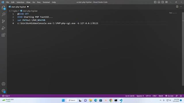 How to setup Nginx Web Server with PHP on Windows 11 via php-fastCGI смотреть онлайн