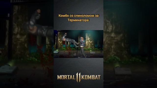 Mortal Kombat 11 - спинолом комбо за Терминатора