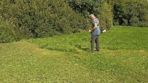 Stihl FS131