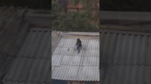 Мелкие вдыхают баллон освежителя воздуха