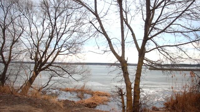 Ом Мани Падме Хум - Юрий Сергеев лучшая тибетская мантра для медитации [ OM MANI PADME HUM ORIG ] смотреть онлайн