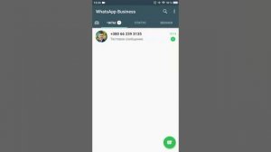 Полный обзор и настройка WhatsApp Business