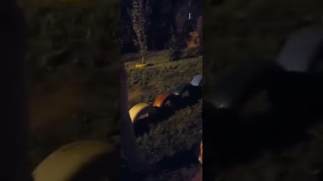 Распитие спиртных напитков на детской площадке