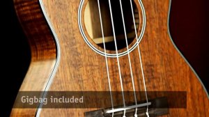 Cort All Solid Ukulele Series