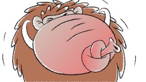 Синупрет Екстракт- Bionorica | Lisenbart Production - Frame animation