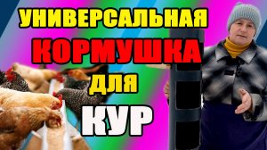 Универсальная кормушка для кур.