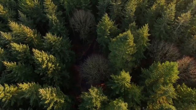 Медитация "Принятие себя. Долой самообесценивание."