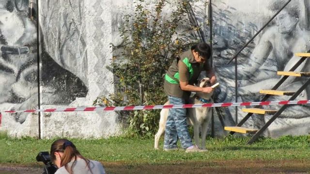 Выборка вещи смотреть онлайн