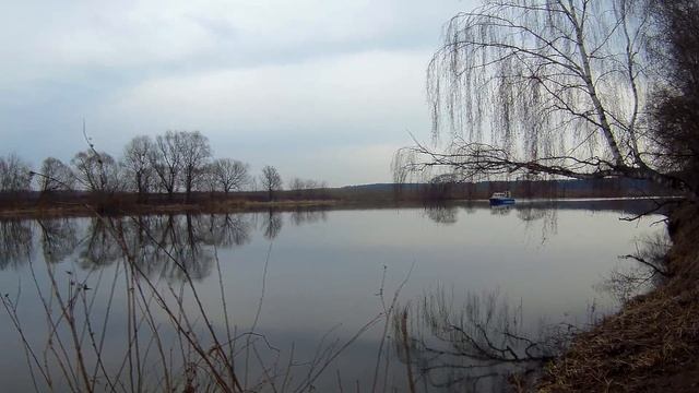 КРУПНАЯ УКЛЕЙКА ВЫРЫВАЕТ УДОЧКИ ИЗ РУК. НАЧАЛО ВЕСНЫ. МОСКВА-РЕКА.