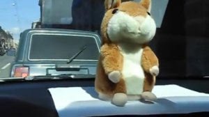 в пробке с хомяком