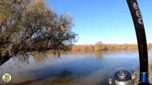 Рыбалка в Астрахани. Идём на сома. День второй.