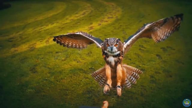 Реклама профессии автомеханик смотреть онлайн