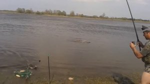 рыбалка на реке Неман Калининградская обл