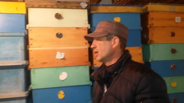 На пасеке у Александра Колесника смотреть онлайн