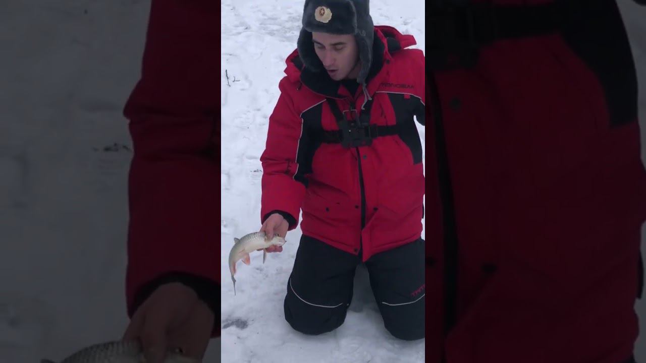 ЛЕСКА ТРЕЩИТ / ВЫРВАЛ УДОЧКУ из РУК смотреть онлайн