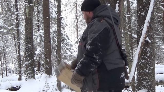 Волк пожалел охотника!!! смотреть онлайн