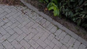 Test - Laubbläser Makita DUB186Z, Akku18V