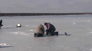 Ловля карпа на балду зимой