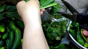 БОЧКОВЫЕ ОГУРЦЫ на ЗИМУ в банках(квашеные), под капроновой крышкой. ПРОВЕРЕННЫЙ РЕЦЕПТ. ВКУСНОТИЩА!