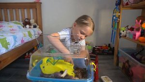 Улитки ахатины. Чем кормить. Как ухаживать.