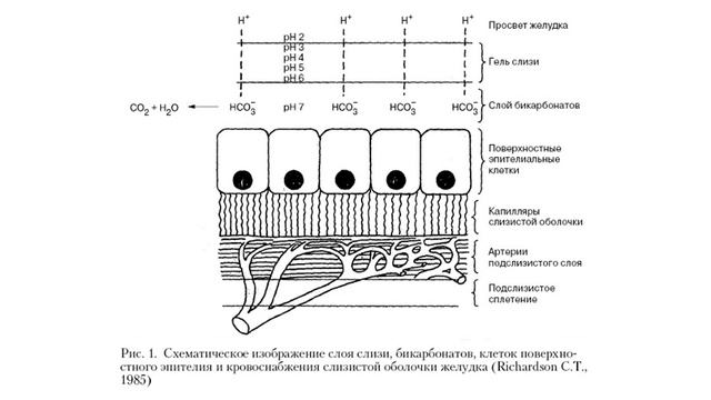 Лекция 