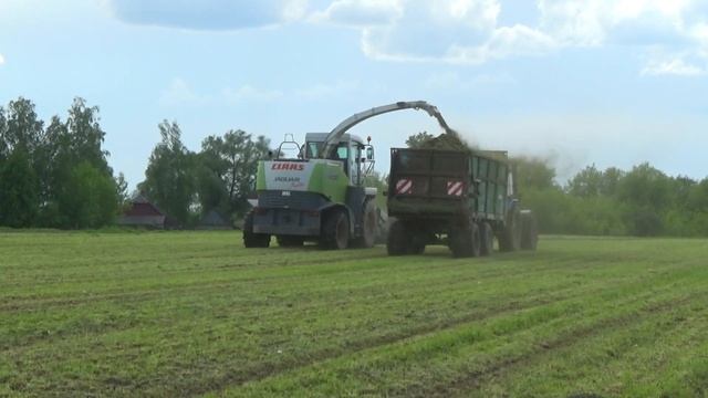 Заготовка сенажа 2021 в СПК "Гигант": Ягуар 870 и КВК-800 задают темп уборки смотреть онлайн