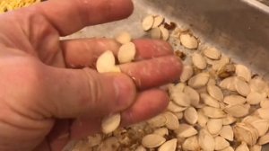 “easily” removing PULP from pumpkin or squash seeds