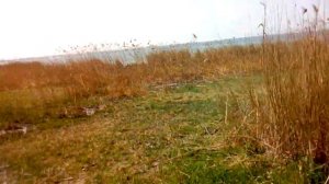 СТРОИМ ШАЛАШ В ЛЕСУ!