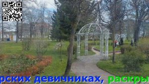 Экскурсия в Твери, Квест экскурсия «Гуляем по Твери»