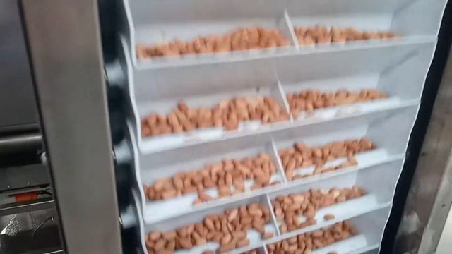 EKO 198 Nut roasting machine