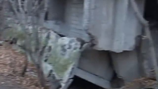 2010 11 16 Бездомные животные смотреть онлайн