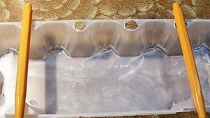 КАК ВЫРАСТИТЬ ЗЕЛЕНЫЙ ЛУК НА ПОДОКОННИКЕ ЗИМОЙ