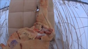 Самый опасный патрон 12 калибра ( 2 шара с тросиком ) Впервые на Ютуб.