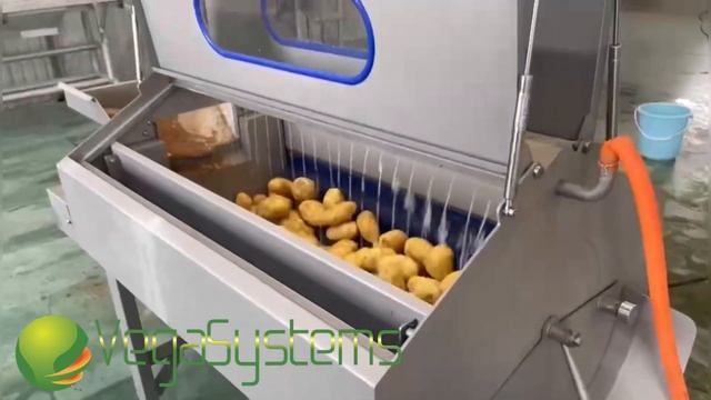 Моечная машина STL 1200 C мойка и очистка корнеплодов