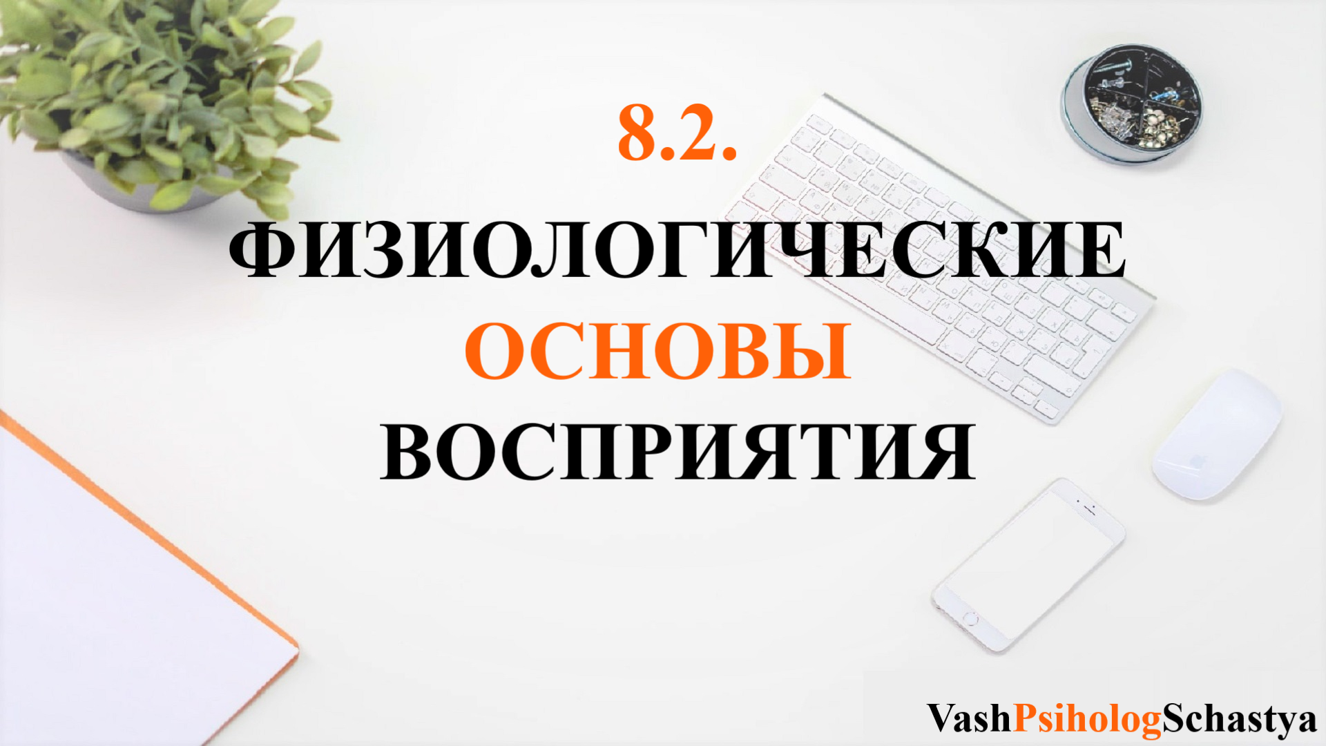 ⚡ 8.2. Физиологические основы восприятия (нервные волокна, ЦНС...) #вашпсихологсчасть