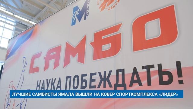 Спортивные комплексы ковров