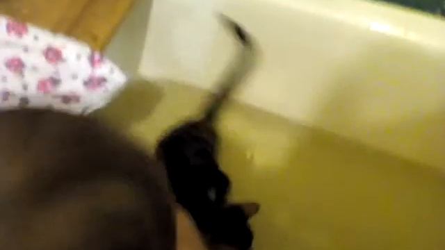 Принятие ванны Бенгальского котенка Шушы! смотреть онлайн