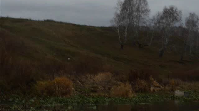 Р. Багаряк, Полднево