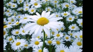 Красота природы Удмуртии