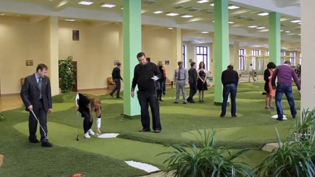 Мини гольф клуб как бизнес идея смотреть онлайн