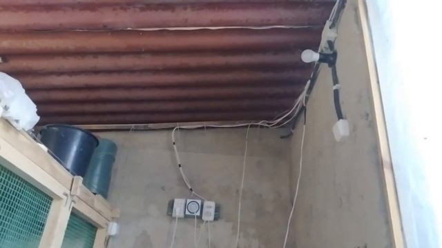 Освещение и подогрев клеток-брудеров в перепелятнике. смотреть онлайн