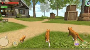 нужно продолжение?