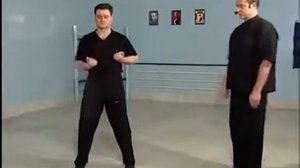 А Белощин Вин Чун 04 отработка ударов, тан сао