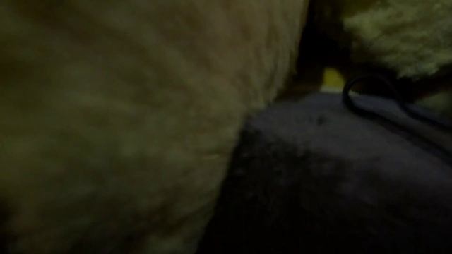 День рождение Ани /влог смотреть онлайн